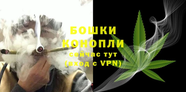 дурь Бородино