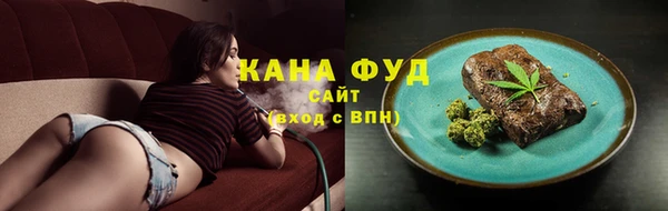 амф Верхний Тагил